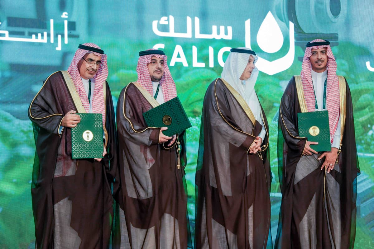 Golden wheat field against blue sky