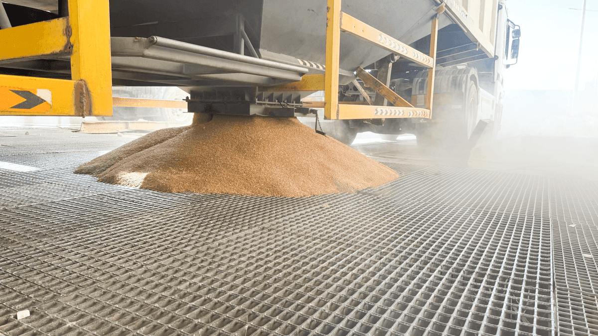 Golden wheat field against blue sky