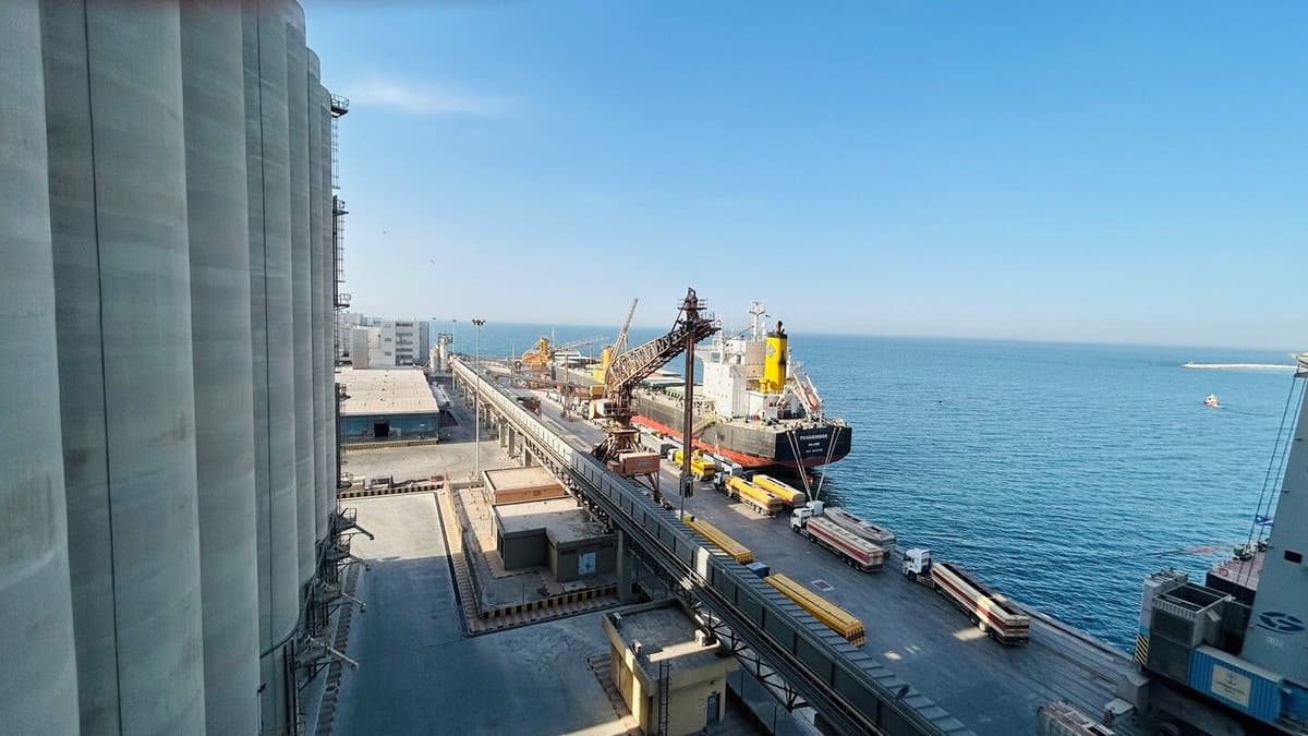Golden wheat field against blue sky